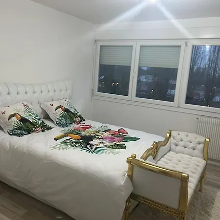 Appartement A Strasbourg